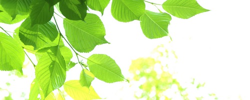 エルゴチオネイン(ERGOTHIONEINE)販売サイトへ